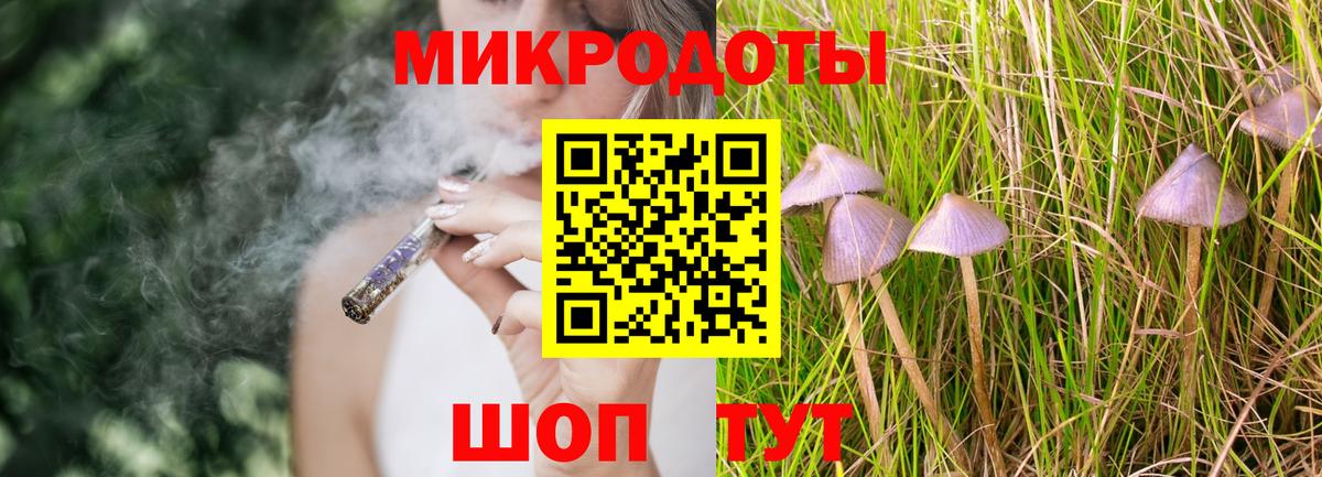 Псилоцибиновые грибы Cubensis Вязьма